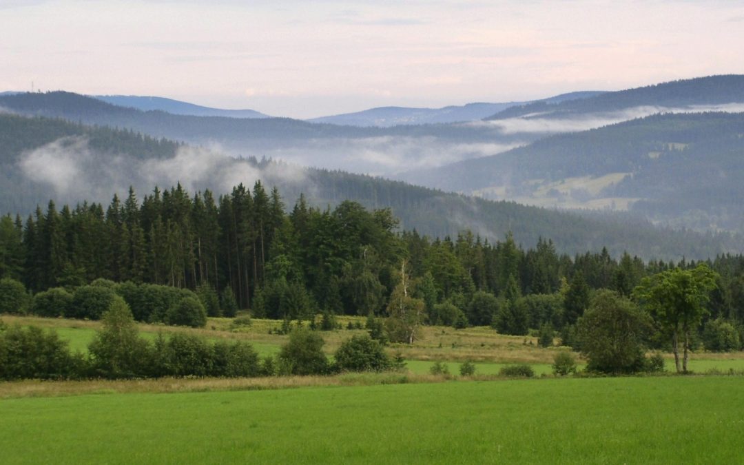 Apartmány Šumava